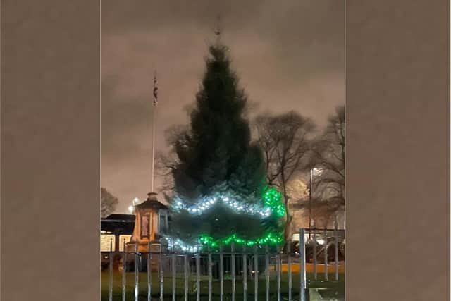 The Christmas Tree at Bailiff Bridge