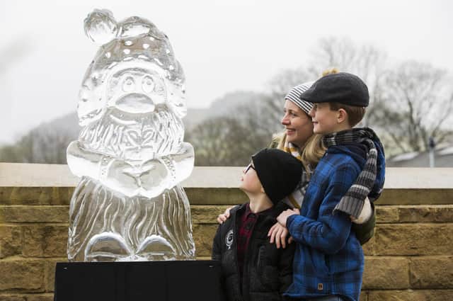 Light up the Valley event at Mytholmroyd. Jacob, eight, Harry, 11, and mum Felicity Boggis, look at one of the ice sculptures by Sand in Your Eye.