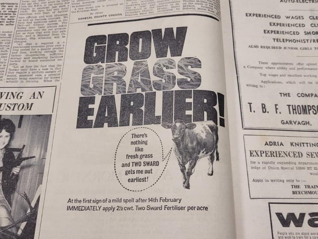 Cow: "There's nothing like fresh grass and Two Sward get's me out earliest"