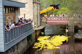 Annual Easter Monday Duck Race, Hebden Bridge