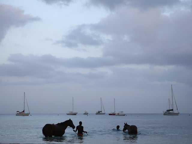 Barbados is privileged to be surrounded with beautiful sandy beaches, practically all round its coast.