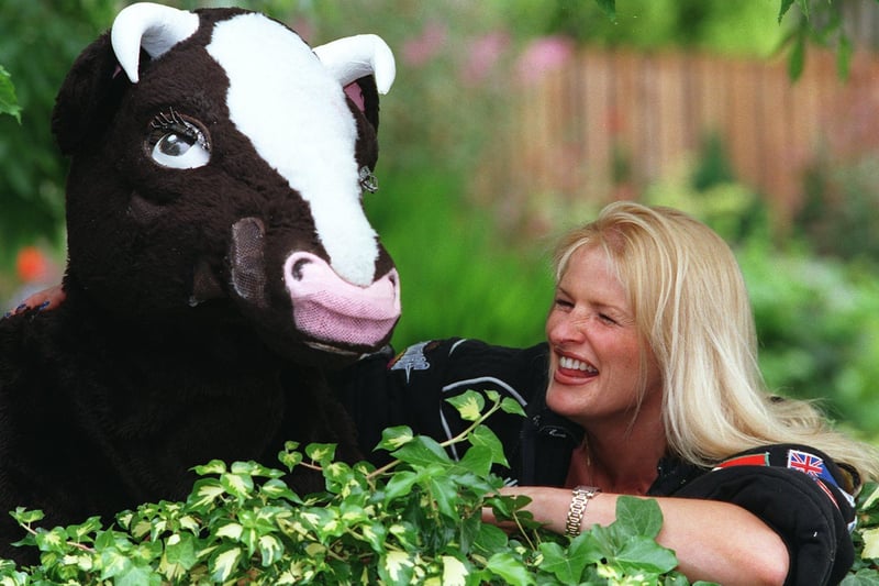 Lightning from the Gladiators appeared in "Jack and the Beanstalk' at the Victoria Theatre in Halifax,   pictured with the pantomime cow.