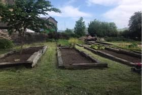 The Halifax allotments have been transformed thanks to the volunteers from Together Housing