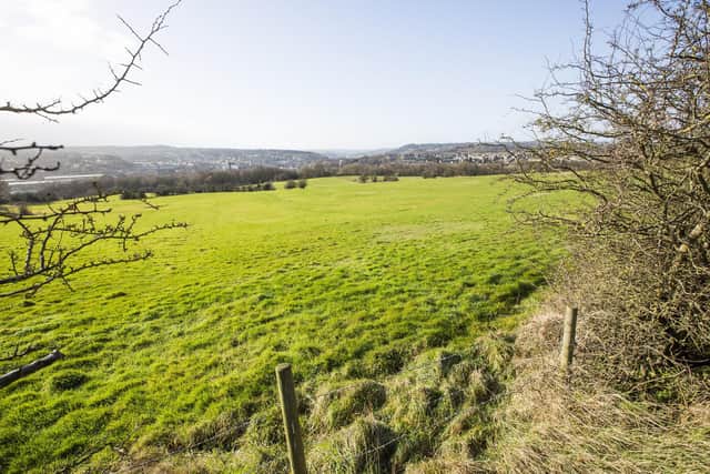 Hundreds of homes could be built on fields at the hamlet of Thornhills near Brighouse if the Calderdale Local Plan is adopted