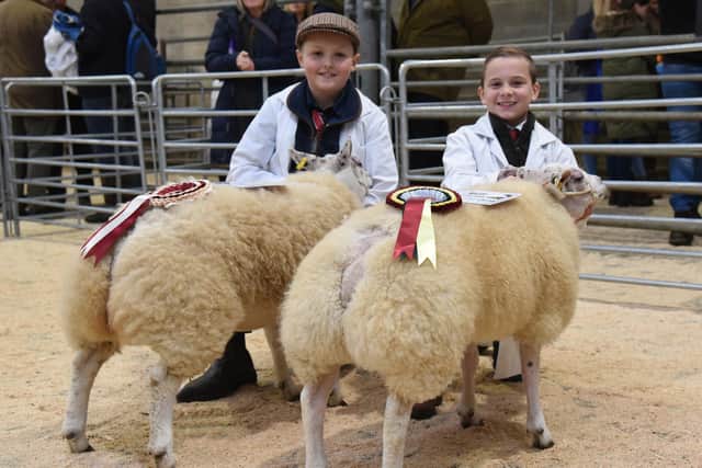 Charlie Leach, right, and Daniel Lund, with the champion and reserve champion prime lambs at Skipton Auction Mart’s annual Christmas show. Picture: Adrian Legge Photography