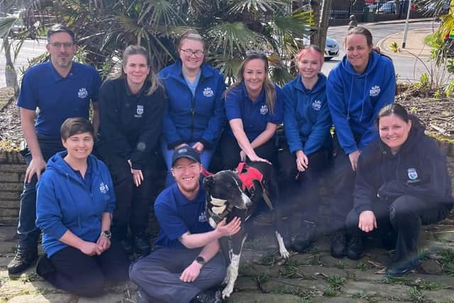 Staff at the RSPCA said they are delighted that their beloved “gorgeous goofball” had finally found a forever home.