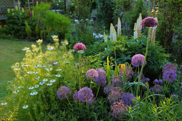 British gardens are under attack from extreme weather