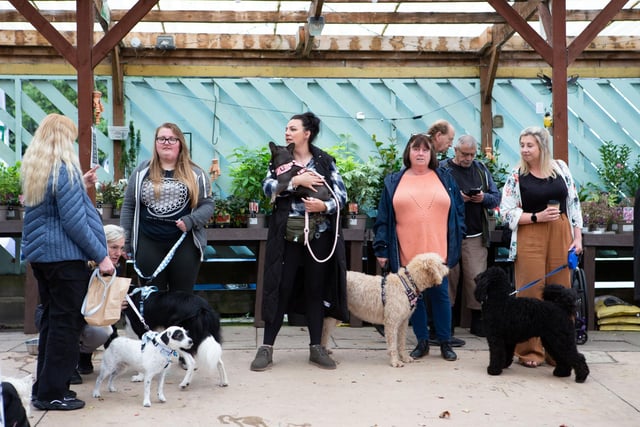 RSPCA dog day at Kershaw's Garden Centre, Brighouse