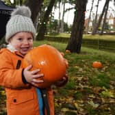 Here are some of the top places go to pumpkin picking across West Yorkshire in the run-up to Halloween.