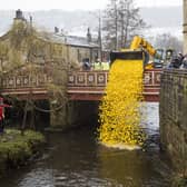 The Hebden Bridge Duck Race, which is organised by the Rotary Club of Hebden Bridge, will take place on Easter Monday as usual, which this year is April 1.