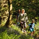Visitors walking in woodland at Hardcastle Crags. Picture: National Trust Images/John Mill