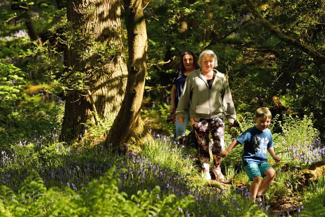 Visitors walking in woodland at Hardcastle Crags. Picture: National Trust Images/John Mill