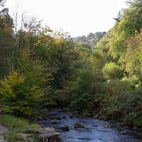 Autumn at Hardcastle Crags: Things to look out for on your next visit to Hebden Bridge beauty spot