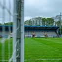 The Shay