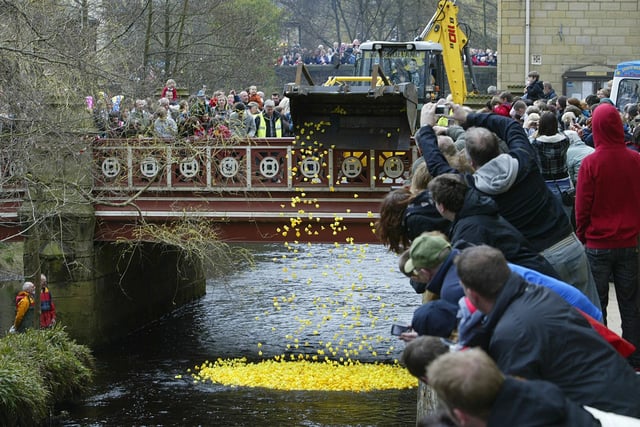 Rotary Club of Hebden Bridge Duck Race in 2010