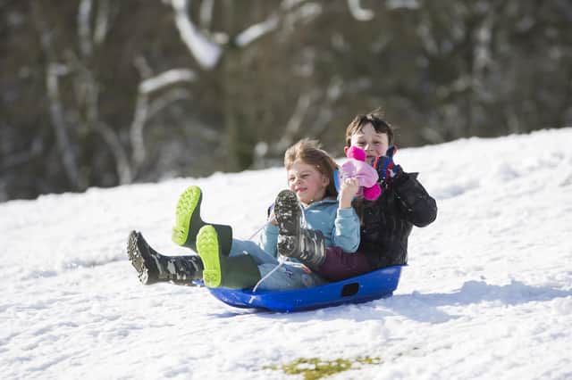 Sledging at Shibden Park. Matthew Booth and sister Sophie Booth