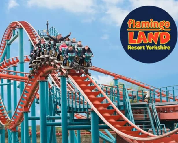 Flamingo Land. Picture: Wowcher.