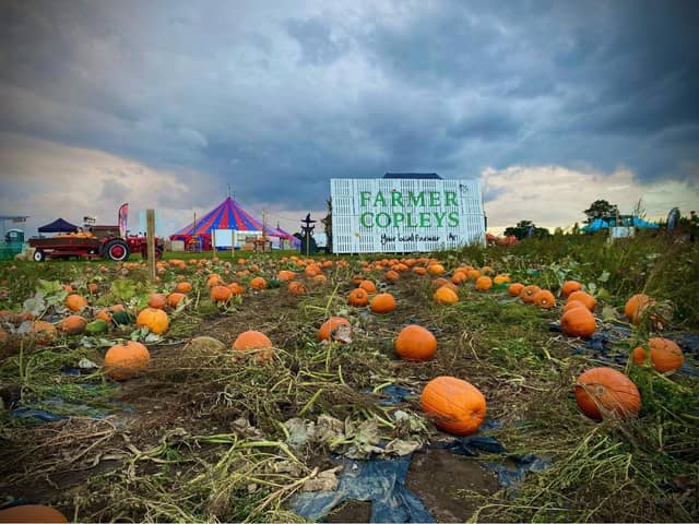 Where: Ravensknowle Farm, Pontefract Road, Pontefract WF7 5AF. 
Named the most Instagrammable pumpkin patch by Parkdean Resorts, Farmer Copley's is always in high demand. Farmer Copley's grows more than 30 different varieties and have plenty of entertainment, refreshments and more throughout October.
The pumpkin festival is on from October 1 until October 31.
Tickets cost £5 per person and children under the age of 3 are free. Pumpkins can be purchased at an additional cost.