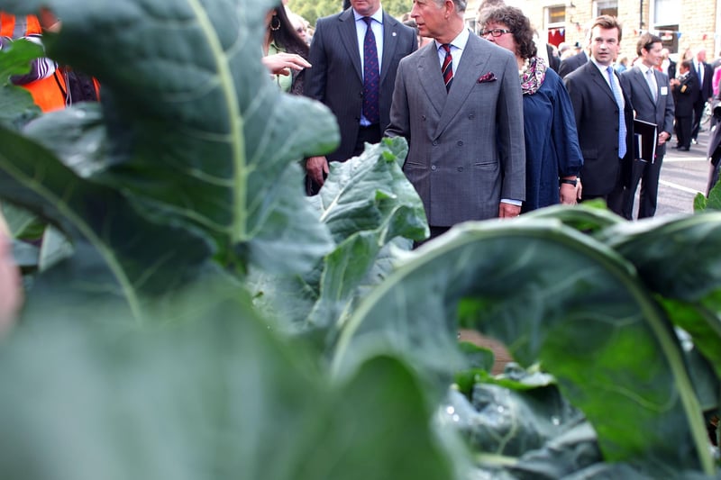 King Charles, then Prince of Wales, tours a vegetable garden during his visit to Todmoreden in 2010. He met with volunteers of Incredible Edible Todmorden and saw examples of where public spaces have been used to grow vegetables, fruit and herbs during his five day tour of the UK to promote sustainable living.