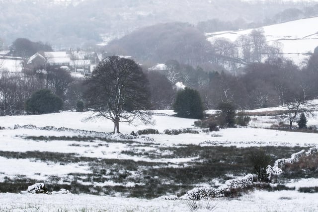 Snow on the landscape