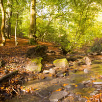 Beautiful autumn pictures from nature spot just a short drive from Halifax
