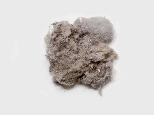 Dustballs are made up of hair, carpet fibres, human skin cells, spider cobwebs and microscopic debris.