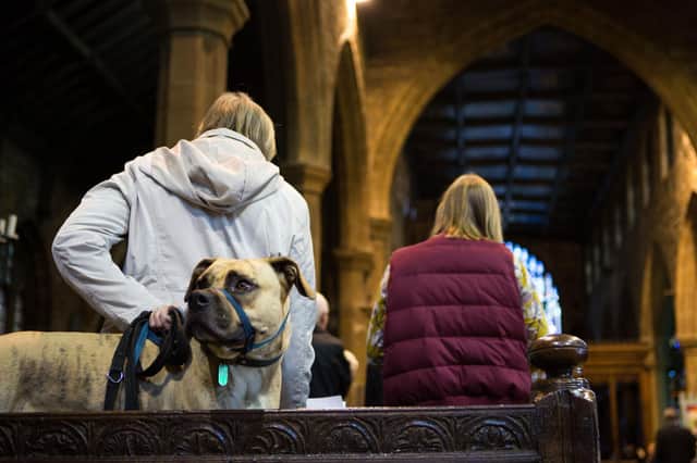 RSPCA Animal Blessing Service at Halifax Minster back in 2017.