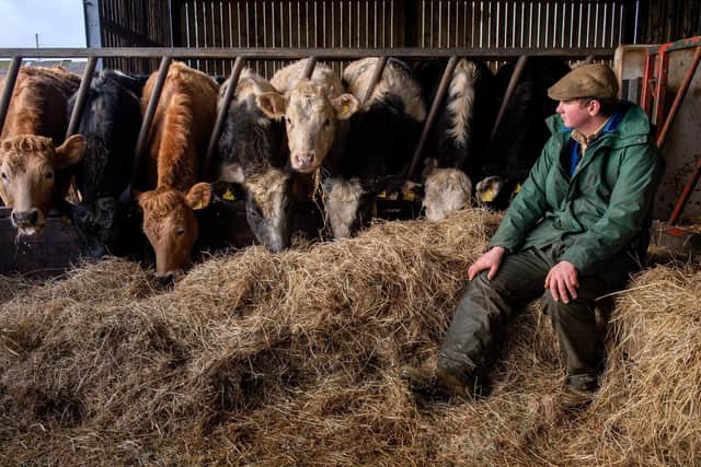 Stephen Short, with cattle at Highcliffe, Southowram. Picture Bruce Rollinson
