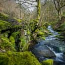 The project has been launched to boost wildlife recovery and public access to nature in the Calder Valley