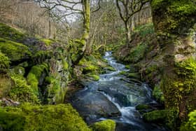 The project has been launched to boost wildlife recovery and public access to nature in the Calder Valley