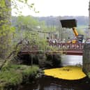 The Rotary Club of Hebden Bridge Duck Race in 2014.