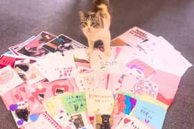 Halifax RSPCA announces winner of the lonely hearts competition - charity was overwhelmed by entries