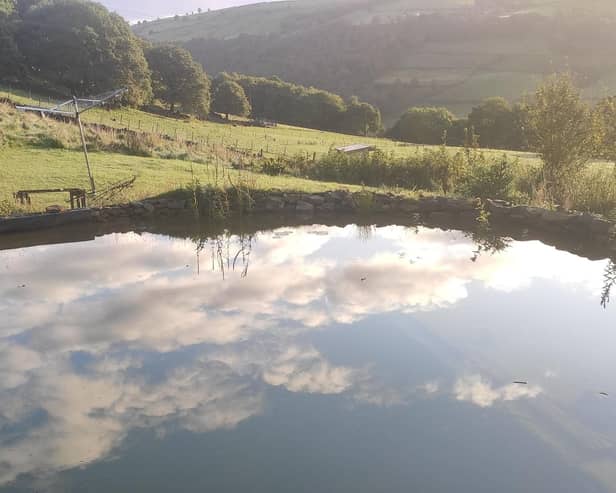 The Hebden Royd and District Swimming Pool Association (HRDSPA) has adopted a new vision for an open air swimming pool cleaned by natural processes.