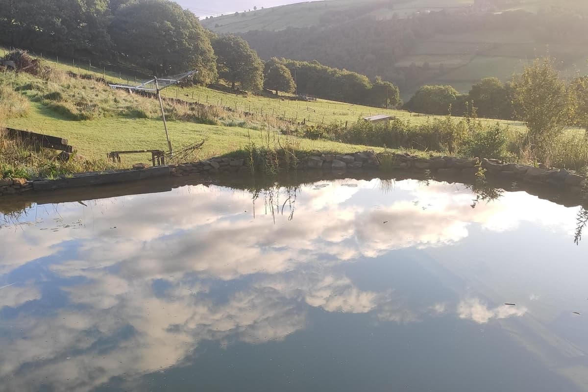Group adopts a new vision for a natural swimming pool for Hebden Royd 
