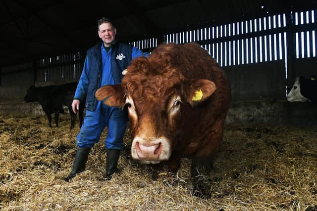 Former professional rugby league player Karl Fairbank, on the family farm at Bank Top Farm, Greetland. His family have farmed in the area for nearly 60 years.