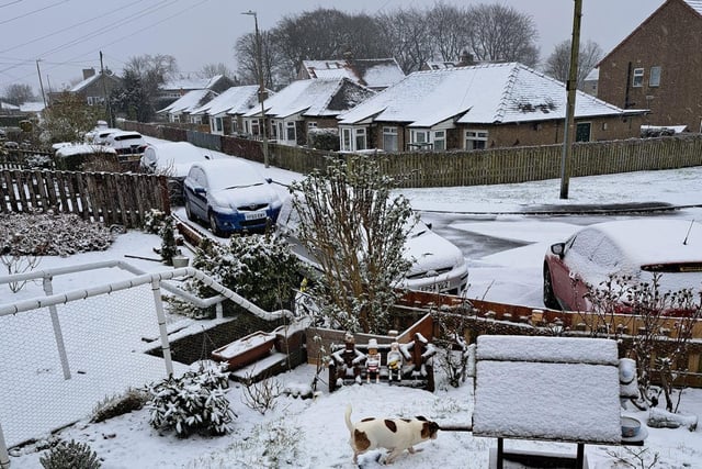 Michelle Barlow took this picture of the snow in Calderdale this morning.