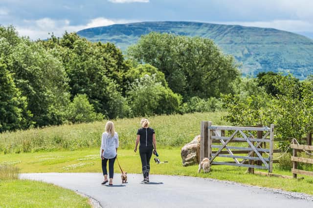 A stay at Angrove on the edge of the North Yorkshire Moors is perfect for dog walkers. Image: Mike Whorley Photography