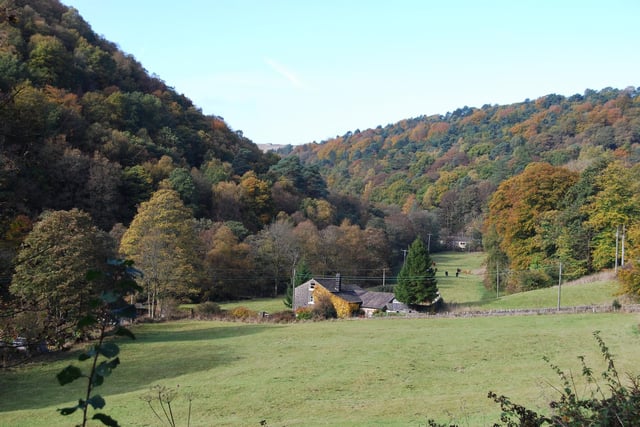 Autumn colours around Hardcastle Crags. Photo by Mike Halliwell