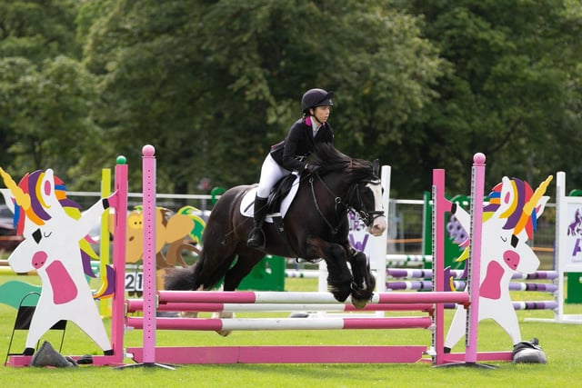 Horse events at Halifax Agricultural Show at Savile Park