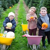 Autumn in Calderdale: All our photos from pumpkin patch near Halifax offering fun autumnal days out