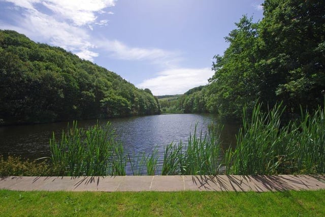 Fishing rights in the lake is included within the apartment's amenities.