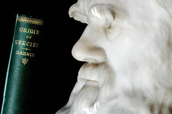 A copy of Darwin's book the "Origin of Species" is pictured in front of a life size stone bust of Charles Darwin at London's Natural History Museum. 'The Kohler Darwin Collection' is the largest and most comprehensive collection of books by and about Charles Darwin in the world, and is also the biggest purchase in the Natural History Museum's history. Photo: SHAUN CURRY/AFP via Getty Images