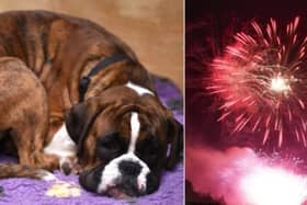 It comes after statistics released today by The Kennel Club show an increase in dogs going missing during fireworks season.