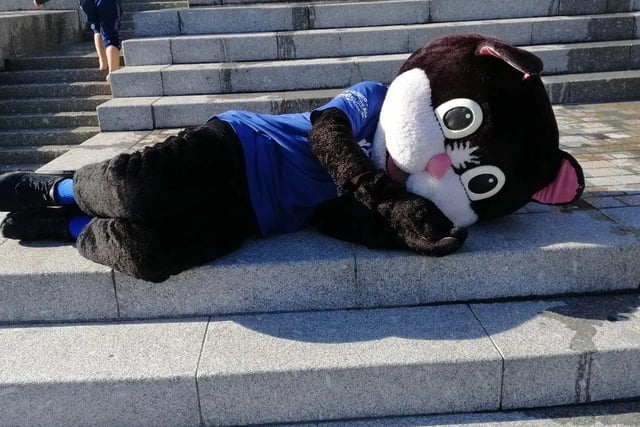 Calderdale SmartMove's mascot bedding down at The Piece Hall. Photo by Lee Barnes
