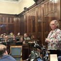 Coun Ann Kingstone proposing the recent motion on social care reform.
