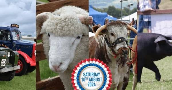 A selection of attractions at Halifax Agricultural Show