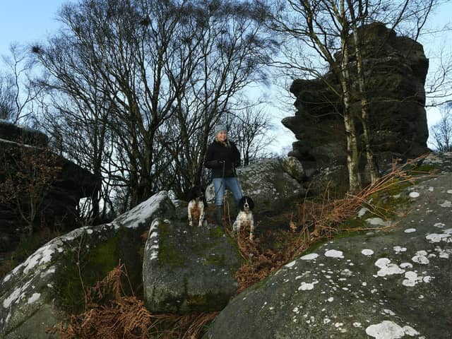 Marsha Barrett stops to take in the view on a walk with her dogs Holly and Bonnie at Brimham Rocks, near Pately Bridge