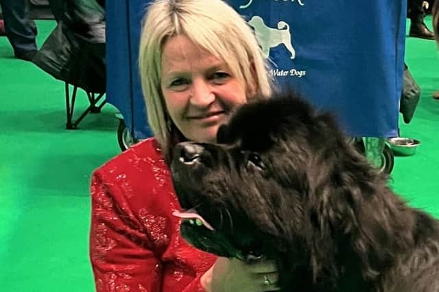 Suzanne's Newfoundland puppy Lewis, also won best puppy in breed.
