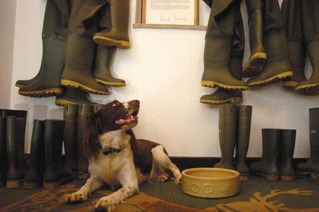 Walkies is a popular activity at the dog-friendly Devonshire Arms. Image: Devonshire Arms