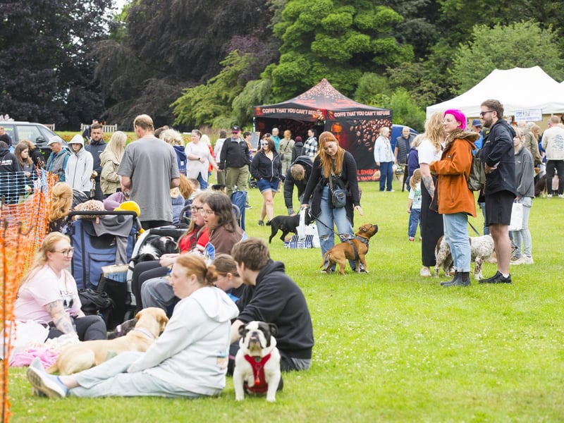 Visitors had a paw-tastic time at this year's K9 Party in the Park